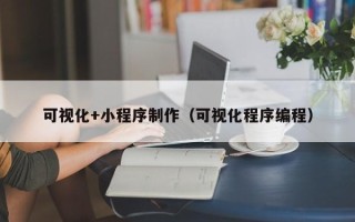 十堰可视化+小程序制作（可视化程序编程）